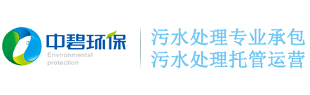 湖北中碧環(huán)?？萍加邢挢?zé)任公司